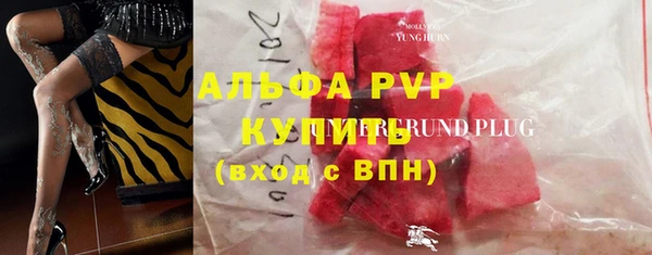 СК Абинск