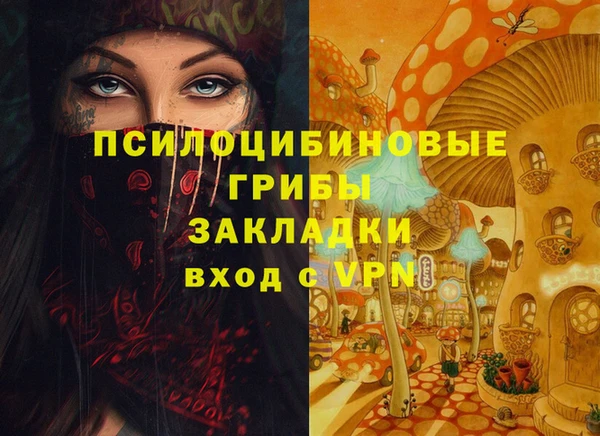 винт Алексин