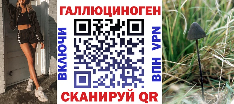 хочу наркоту  Пошехонье  Галлюциногенные грибы Psilocybe 